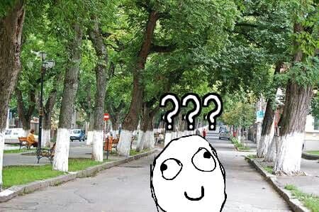 माहीतीये का, रस्त्याच्या कडेने उभ्या असणाऱ्या झाडांना लाल-पांढर्‍या रंगाने का रंगवतात?