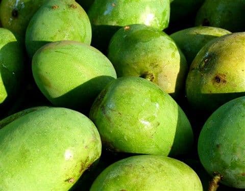 २. बिहार