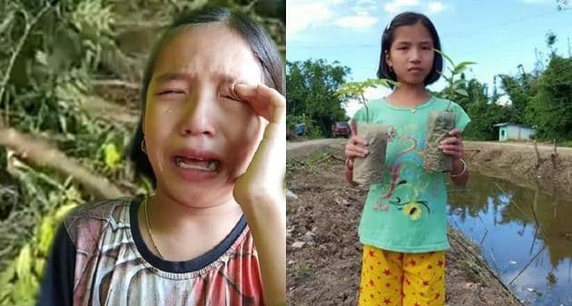 या ९ वर्षांच्या मुलीने असं काय केलं की तिला मणिपूरची 'ग्रीन अम्बॅसिडर' करण्यात आलंय ??