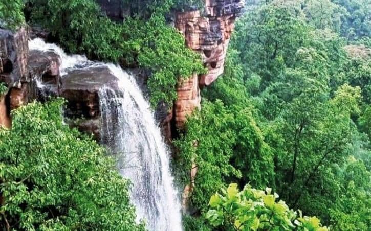 तेलंगणाच्या वनाधिकाऱ्यांनी नवीन धबधबा शोधलाय? व्हिडीओ पाहून घ्या!!