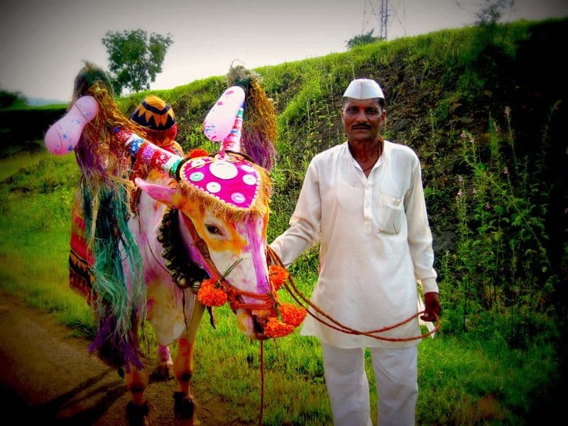 पोळा -भारतीय कृषी संस्कृतीच्या विचारांची महती सांगणारा सण !