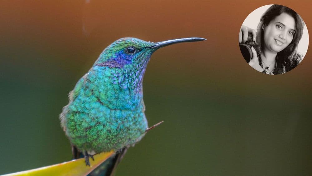 एक छांदिष्ट वाइल्ड लाइफ फोटोग्राफर सांगताहेत जंगलातल्या गमतीजमती…