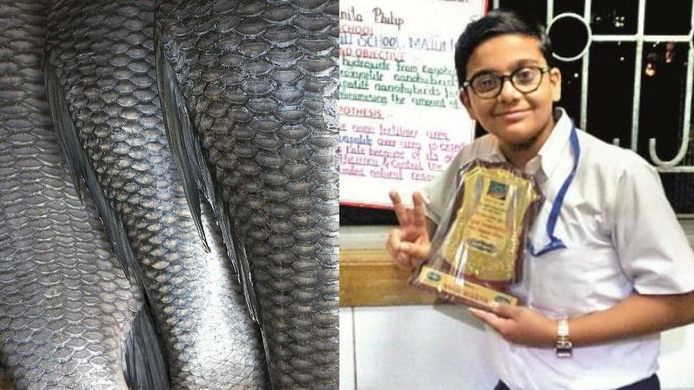 बाल शास्त्रज्ञ : माश्याच्या खवल्यांपासून तयार होणार बायो-प्लास्टिक !!