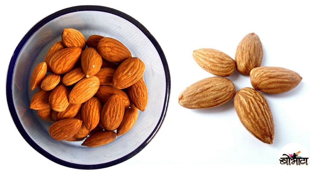 वैद्य अश्विन सावंत सांगत आहेत, 'बदाम आरोग्यासाठी कितपत उपयुक्त आहेत ?'