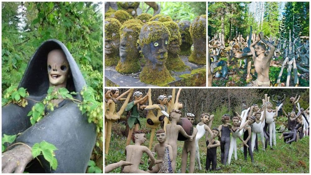 ५० वर्षं खपून एका मिल कामगारानं या जंगलात काय केलं हे पाहा..