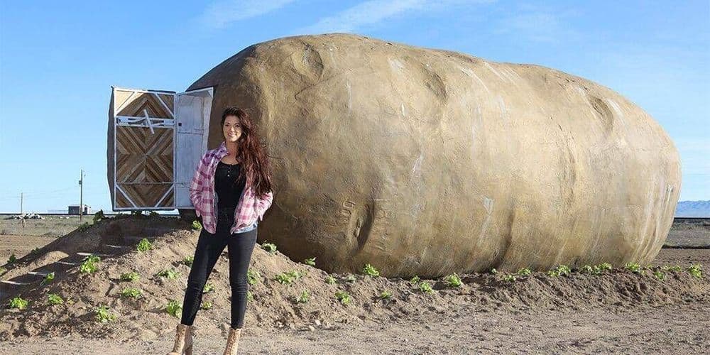 या बटाट्यात राहण्यासाठी लोक १७,००० देत आहेत...एवढं काय खास आहे या बटाट्यात ??