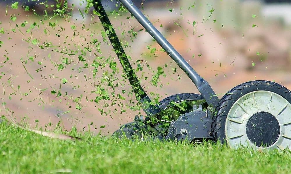 गवत कापल्यावर येणाऱ्या सुगंधामागे आहे हे महत्वाचं कारण !!