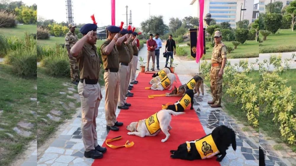 कुत्र्यांच्या सेवानिवृत्तीचा जंगी कार्यक्रम...सीआयएसएफने केला या छोट्या सैनिकांना सलाम !!