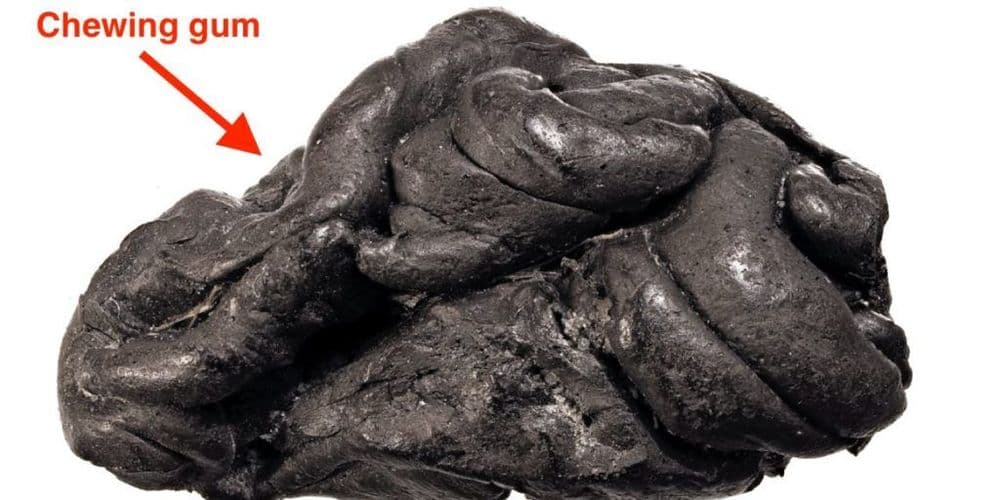 ५७०० वर्षापूर्वीच्या च्युईंगमच्या आधारे त्याला खाणाऱ्या व्यक्तीचा शोध कसा लागला ?