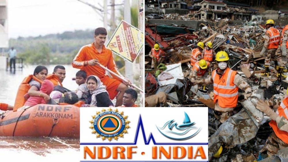 संकटात धावून‌ येणारं NDRF : या दलाबद्दल तुम्हाला या गोष्टी माहित असायलाच हव्यात...