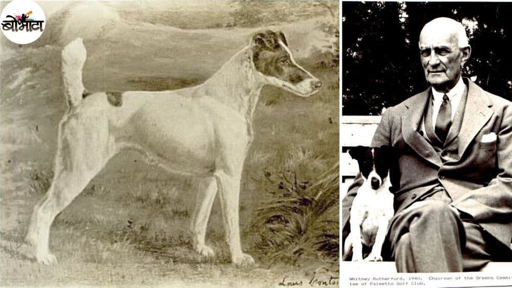 सलग तीन वर्षे किताब मिळवणारी ही खरोखरी सर्वोत्कृष्ट श्वान होती?