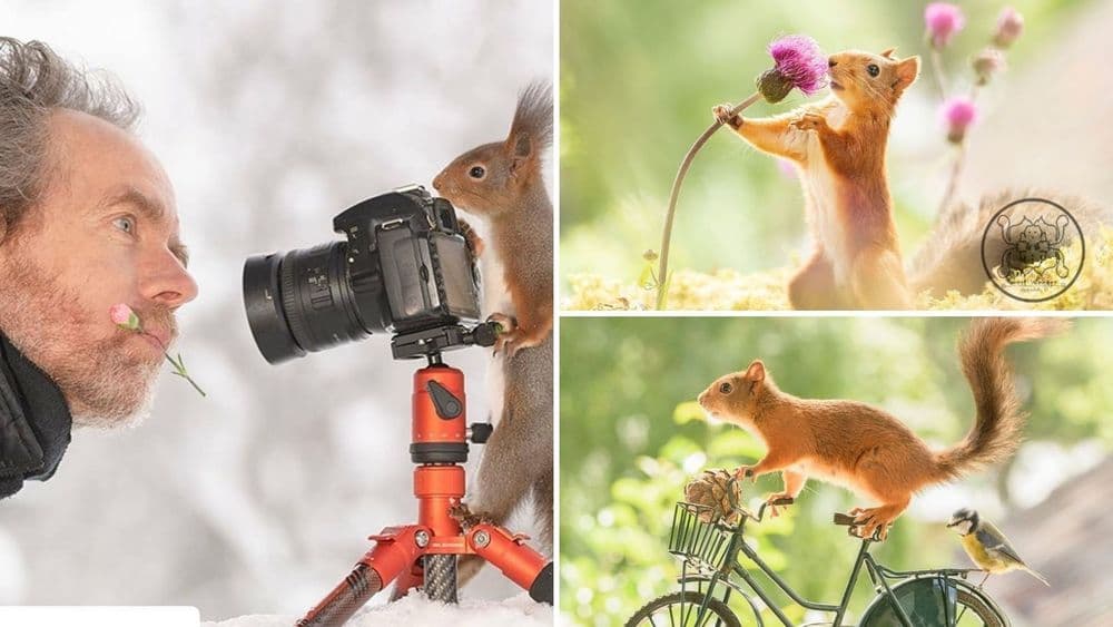 खारूताईला कॅमेऱ्यात टिपण्यासाठी आयुष्य खर्ची केलेला फोटोग्राफर...त्याच्या फोटोग्राफीचे निवडक नमुने पाहा !!