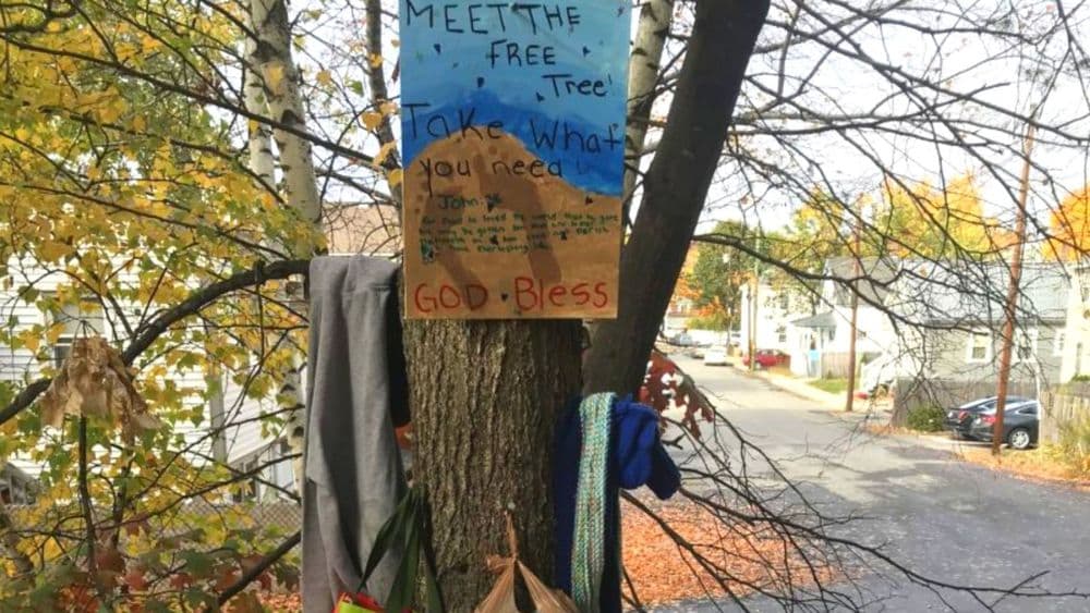 'फ्री ट्री' काय आहे आणि नेटकरी त्याचं कौतुक का करत आहेत ?