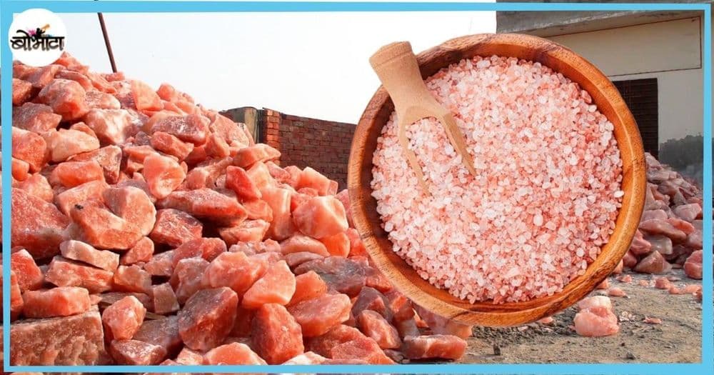 हिमालयन मीठ किंवा सैंधव मीठ पाकिस्तानातून येतं? सैंधव मीठाचा इतिहास ते पाकिस्तानची मिठाची खाण, सर्व माहिती जाणून घ्या!!