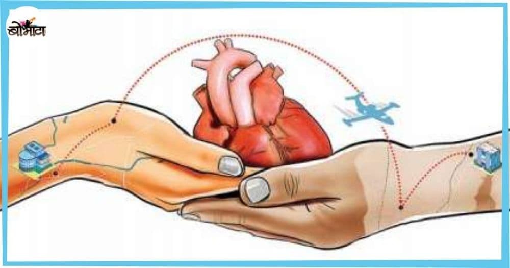 हृदयप्रत्यारोपण म्हणजे काय?  हृदयप्रत्यारोपणाआधी कोणत्या गोष्टी गरजेच्या आहेत?