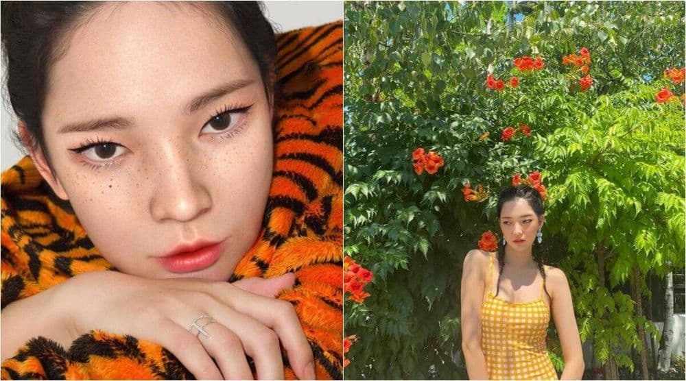 भेटा आजन्म २२ वर्षांची राहणाऱ्या आणि वर्षाकाठी ६,००,००,००० रुपये कमावणाऱ्या सोशल मिडिया इन्फ्ल्युएन्सरला..