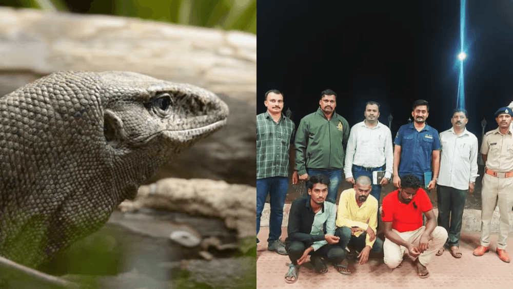 प्राण्यांवर देखील बलात्कार करण्याची विकृती येते तरी कुठून?