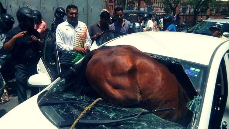 जेव्हा कारचे ‘घोडे’ लागतात...वाचा नक्की काय झालंय मंडळी !!!
