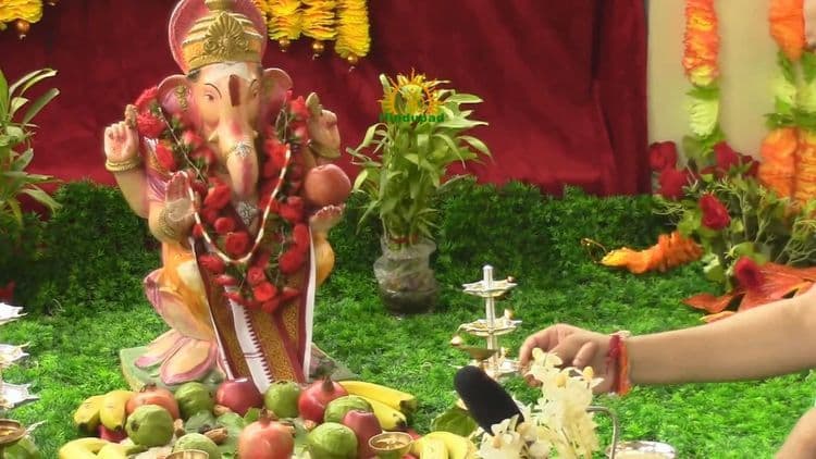 गणपतीबाप्पाच्या पूजेतल्या पत्रीचं आयुर्वेदातलं महत्व, आपल्याला माहित असायलाच हवेत हे  औषधी उपयोग.. 