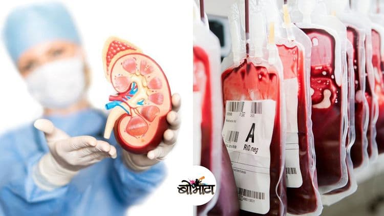 काळ्या बाजारात माणसाच्या किडनी आणि रक्ताचा भाव काय आहे माहित आहे?