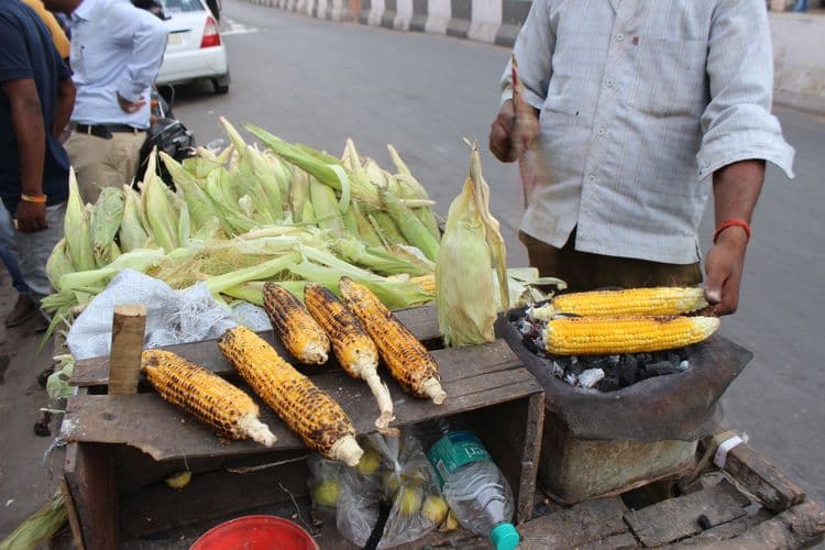 मक्याचं कणीस