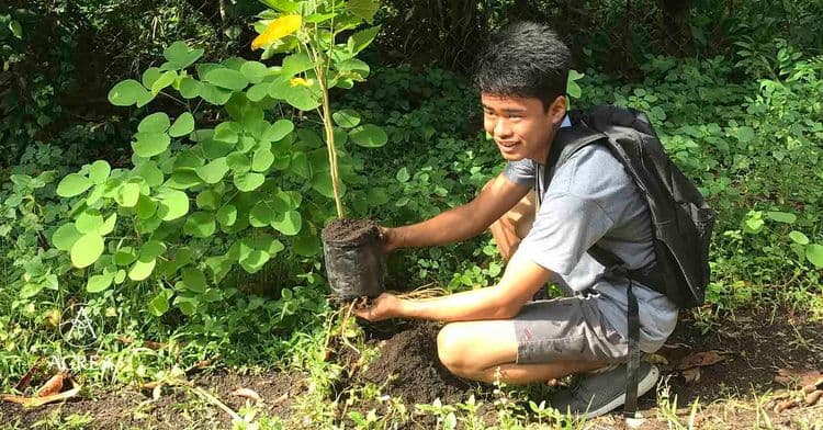 पास व्हायचं असेल तर १० झाडे लावा....कोणी केलाय हा अजब कायदा ??