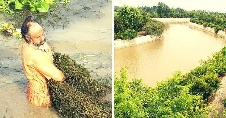 एकट्याने १६० किलोमीटर लांब नदी साफ करणाऱ्या इकोबाबांबद्दल ऐकलंय??