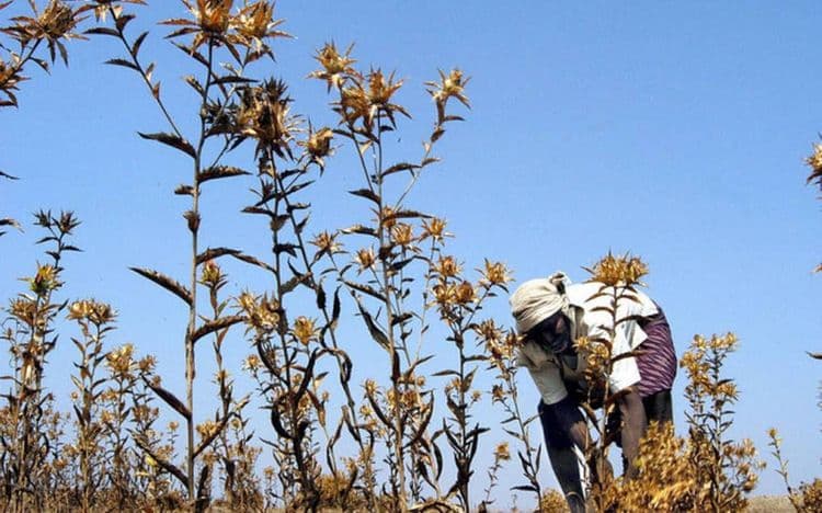 आपण आता मुख्य मुद्द्याकडे वळूया की आता हा आंतरराष्ट्रीय प्रश्न कसा निर्माण झाला आहे? 