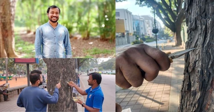 बंगलोरच्या शास्त्रज्ञाने हाती घेतलेली झाडांना खिळेमुक्त करण्याची मोहीम काय आहे?