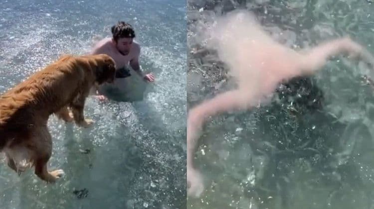 ४. गोठलेल्या तळ्यात पोहण्याचा स्टंट