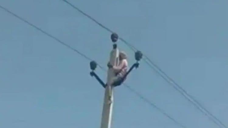 लग्न लावून द्या नाहीतर जीव देतो...या आजोबांचं आंदोलन पाहिलं का?