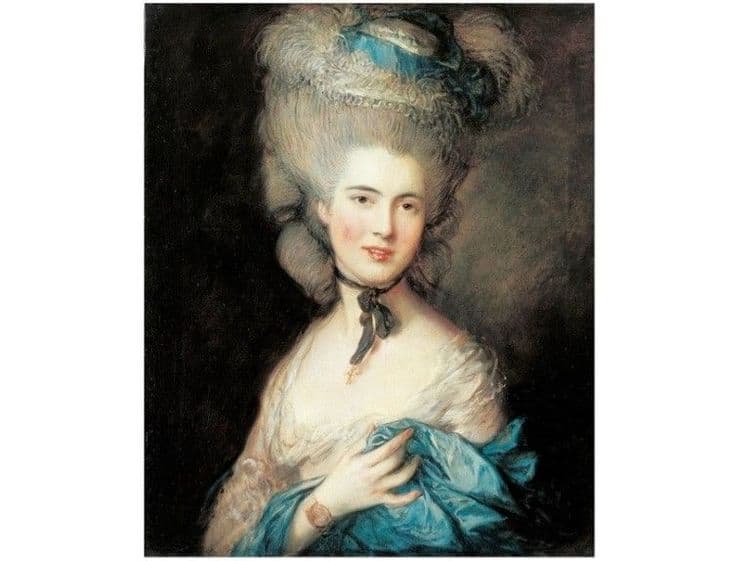 ६. केसावर वापरला जाणारा मोठा विग