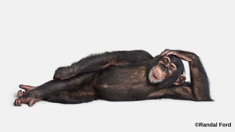 आता करणार तरी काय या लॉकडाऊनमध्ये !!