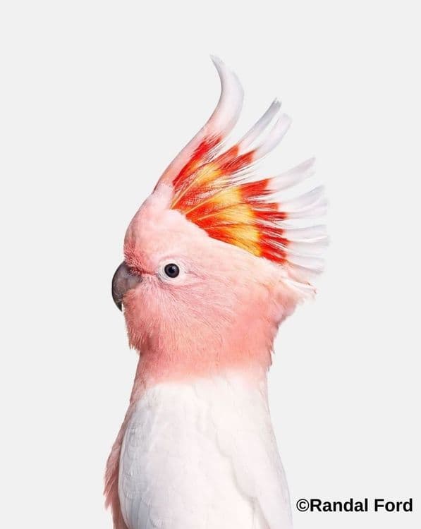 सुंदरा मनामध्ये भरली !!