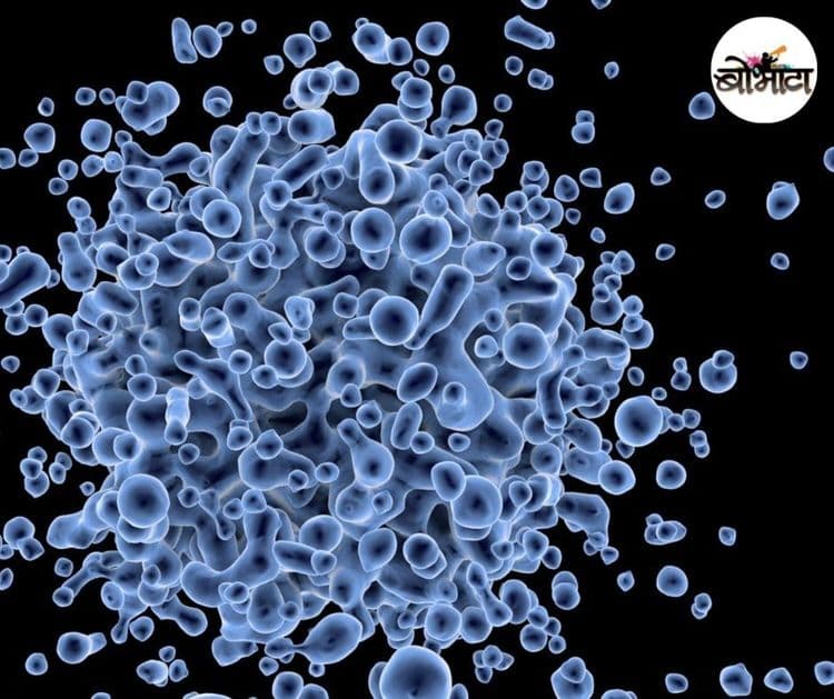 DRDO चे नवे औषध कोव्हीड रुग्णांना संजीवनी देणार का ? 