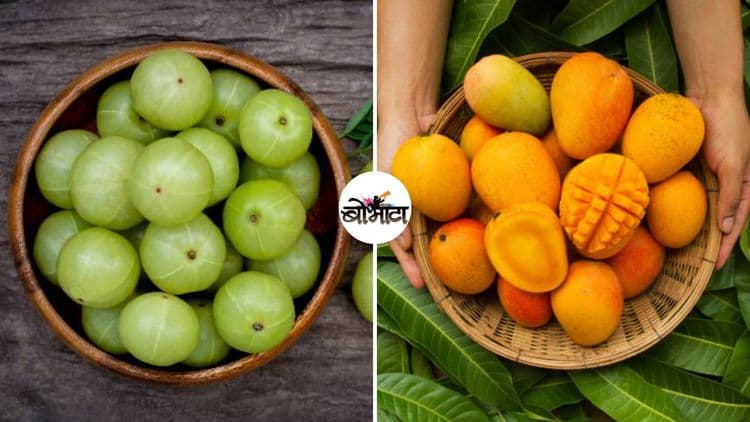 रोगप्रतिकारशक्ती वाढवण्यासाठी रोजच्या आहारात असायलाच हवेत असे ५ अन्नपदार्थ!!