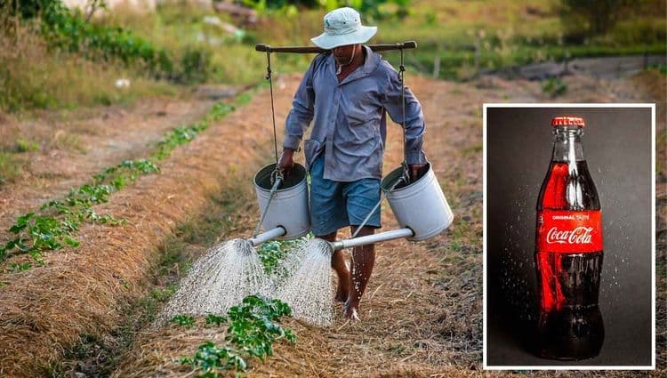 २२. कोकाकोलाचा अजून एक महत्त्वाचा फायदा म्हणजे आजकाल भारतातील शेतकरी आपल्या पिकांचे संरक्षण करण्यासाठी त्याचा मोठ्या प्रमाणावर वापर करत आहे. महागड्या कीटकनाशकांच्या तुलनेत कोकाकोला स्वस्त असल्यानेे शेतकर्‍यांना तो परवडतो. कोकाकोलामध्ये असलेली साखर मुंग्या