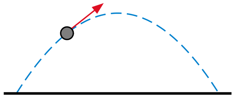 नक्की काय होतं हे काम?