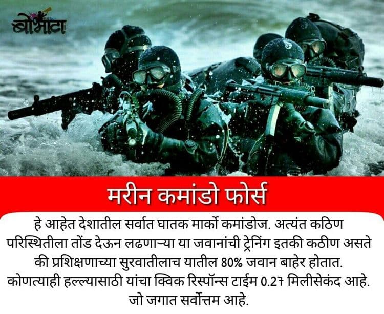 ८. मार्को