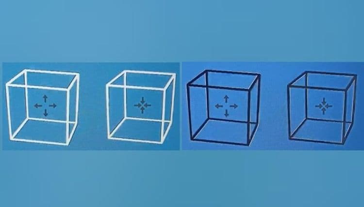 हे ठोकळे स्थिर आहेत!! विश्वास बसत नाही? मग या दृष्टीभ्रमामागचं कारणही वाचा!!