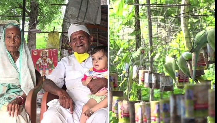 ८५ वर्षांच्या निवृत्त शिक्षकाने पक्षी आश्रम स्थापन केला.वाचा यातून ते कुणाकुणाला कशी मदत करत आहेत!!