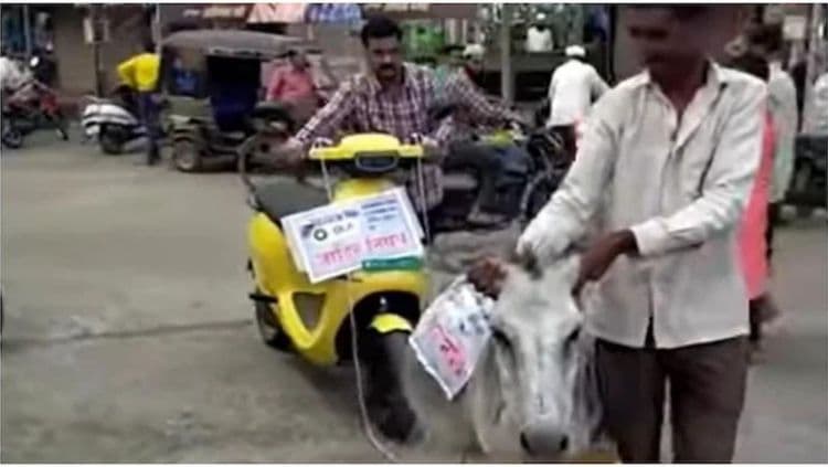 फॉर्च्युनरनंतर आता बीडमध्ये ओला स्कूटरची गाढवासोबत वरात!! काय प्रकरण आहे हे?