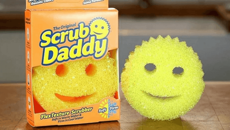 स्पंज (२ आठवडे )