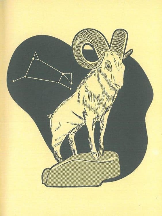 मेष(Aries) राशीला मेष म्हणजे मेंढ्याचं नाव कसं मिळालं ?