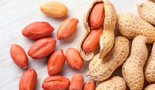 शेंगदाणे खाल्ल्याने होतात हे १० फायदे !