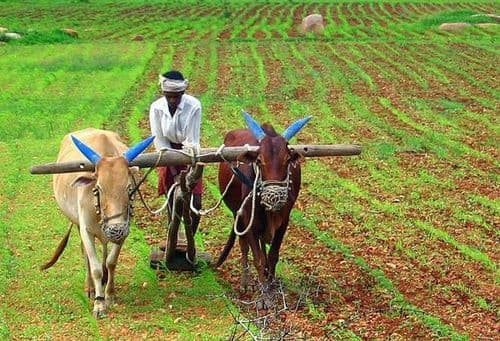 'शेतकऱ्यांना मिळणार ३००० रुपये पेन्शन'...वाचा काय आहे व्हायरल मेसेज मागील सत्य !!