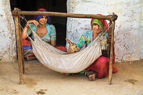 सलमानला कोर्टात खेचणाऱ्या बिश्नोई समाजाबद्दल या ७ गोष्टी माहित आहेत का ?