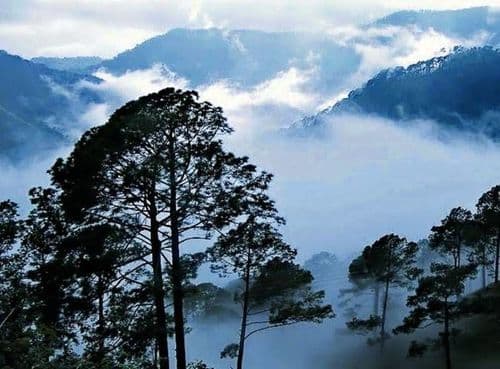 यावर्षी हिवाळ्यातली सहल आखा आंध्र प्रदेशात. का? अहो तिथं या गावात चक्क बर्फ पडतो