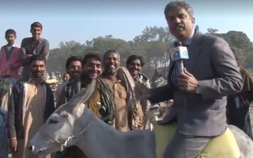 व्हिडीओ ऑफ दि डे : पाकिस्तानी पत्रकाराने चक्क गाढवावर बसून केली रिपोर्टिंग.....वाचा पुढे काय झालं !!