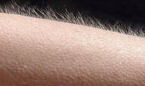 ५. मानवी शरीरातल्या या चार गोष्टींचा खरंतर माणसाला आता बिल्कुल उपयोग नाही..